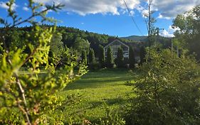 Pension Pîrîu' Morii